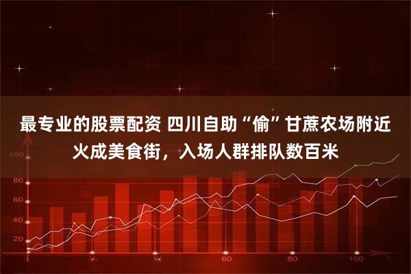 最专业的股票配资 四川自助“偷”甘蔗农场附近火成美食街，入场人群排队数百米