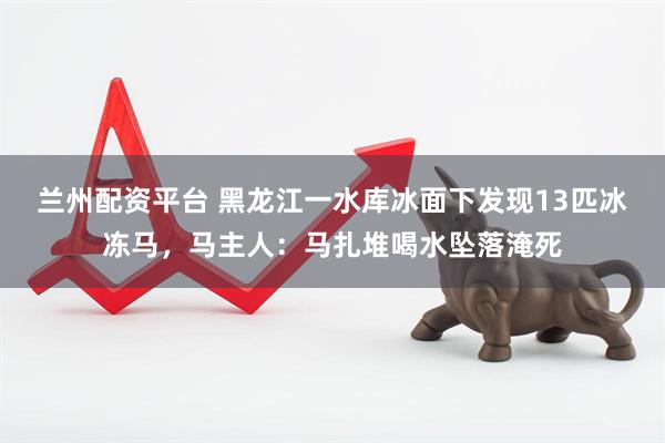 兰州配资平台 黑龙江一水库冰面下发现13匹冰冻马，马主人：马扎堆喝水坠落淹死